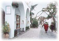 �A�i�J�v���̂܂�